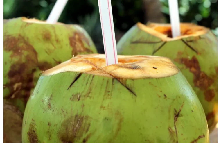 Câmara descobre que coco também dá trabalho  e aprova logística reversa para a fruta mais desprezada após o gole