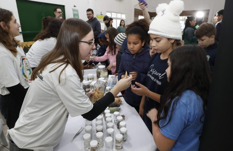 Mei Ambiente vai aos bairros de Cascavel recheada de serviços