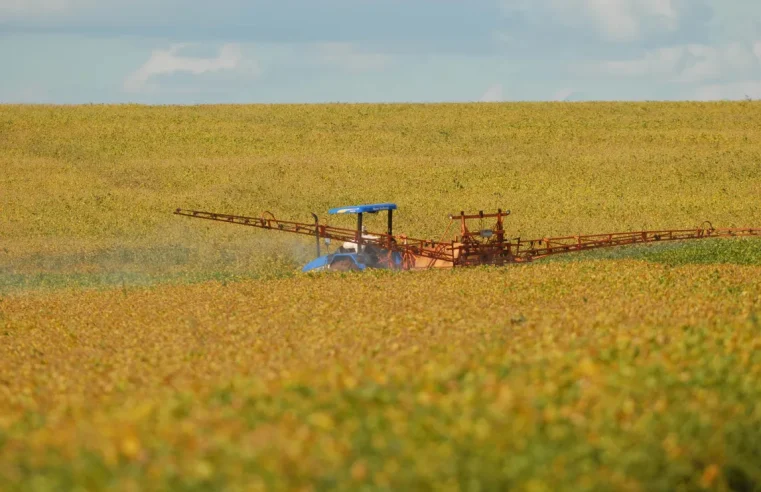 Veneno vizinho: Alep faz audiência para brecar o eito de agrotóxico que mata até abelha